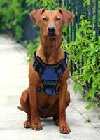 Ensemble de laisse de harnais de service tactique sans traction pour chien ceinture de sécurité de voiture bol pliant ensemble de sacs à ordures dégradables pour chiens