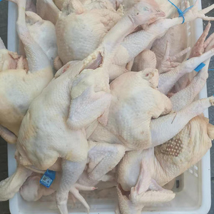 30 40 50 60 65 80 công nghiệp nông nghiệp gà giết mổ thiết bị phục vụ lâu dài cuộc sống gia cầm máy tẩy lông vịt - Product Image 2