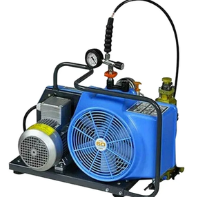 ปั๊มลมรุ่น BC163099B พร้อมปั๊มลมและเครื่องอัดอากาศ - Product Image 1