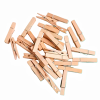 Pinzas de Ropa de Madera de Abedul Natural Ecológicas, Resistentes, con Resorte, para Secar Ropa en Casa