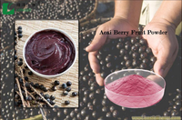 Poudre d'extrait de fruit d'açaï sauvage soluble dans l'eau, qualité alimentaire et médicale, emballée sous vide en fût/conteneur plastique, HALAL/Kosher/ISO