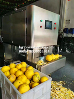 Automatische fruitenschiller, mangoschilmachine, ananasschilmachine, grapefruitschilmachine