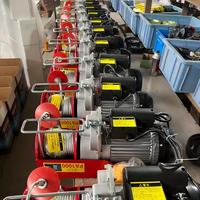 Nouvelle Mini Palans Électriques Workmates Personnalisés 200kg 400kg 600kg 1000kg avec Télécommande pour Usage Domestique et Commercial, Moteur Monophasé à Câble Métallique