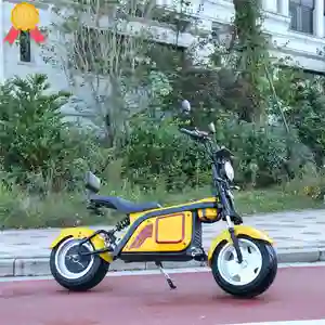 doohan scooter eléctrico itank Suppliers-Doohan Itank-triciclo eléctrico de 2 ruedas para pasajeros, escúter de 3000W con 2 ruedas Eec, modelo F2