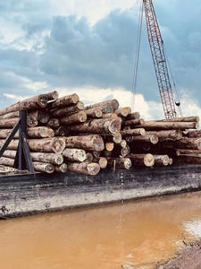 Fabricant de contreplaqué intérieur extérieur commercial stratifié contreplaqué pas cher prix 25mm 4*8 Indonésie Keruing contreplaqué noyau Keruing - Product Image 5