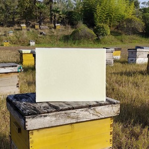 <span class=keywords><strong>Cire</strong></span> <span class=keywords><strong>d</strong></span>'<span class=keywords><strong>abeille</strong></span> <span class=keywords><strong>comestible</strong></span> jaune de grade II du Henan – Matière première en vrac pour cosmétiques, rouges à lèvres, bougies et thérapie - Product Image 4