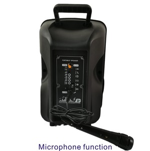 Loa Không Dây Bt 8 Inch Có Tay Cầm Và Máy Hát Karaoke Pin Sạc Được - Product Image 3