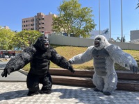 Costume de mascotte gonflable en peluche de gorille King Kong singe de dessin animé en gros à vendre