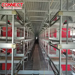 Automatic Chicken Raising System 200 Capacity Farm Equipment Rearing Growing Battery Breeding Chicken Cages For Breeder Feed