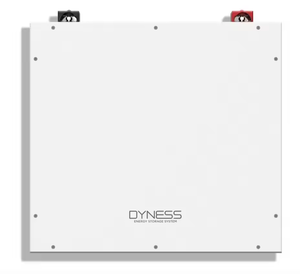 Batería de Litio Dyness <span class=keywords><strong>BX51100</strong></span> DL5.0C DL5.0C-1C A48100 de 5.12kWh 48V 51.2V 100AH, Disponible en Stock - Product Image 2