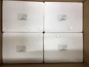 Detan Dry Morel funghi con collagene ricco di vitamine fungo Morel cinese - Product Image 6