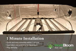 Gartenbau Top Licht Horti Bloom <span class=keywords><strong>Mega</strong></span> lm301 evo lm281 kommerzielles Wachstums licht Full Spectrum Gewächshaus Top Licht - Product Image 3