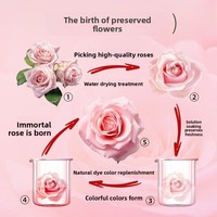 Coffret Cadeau Rose Haut de Gamme Double Porte pour Bijoux Fleur Éternelle Cadeau Nouveauté Saint-Valentin