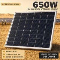 Module solaire bifacial de type N 650W, conception anti-poussière et anti-corrosion, pour zones désertiques et ventées à forte teneur en poussière, efficacité 24,06%