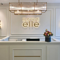 Lettres publicitaires LED pour logo d'entreprise, lettres LED 3D personnalisées, enseigne de magasin en métal et acrylique, lettres rétroéclairées LED