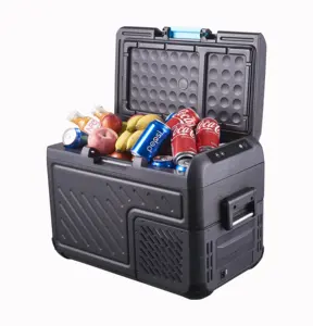 Family Travel Cost-effective Cool and Warm Mini Cooler Box Car Refrigerator 18L DC 12v Portable Car Fridge For Drinks