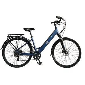 Sepeda Listrik 250W/500W untuk Wanita, Sepeda Listrik Kota E Klasik untuk Dewasa