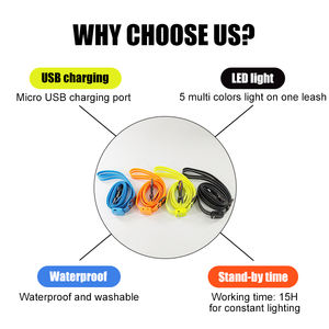 Laisse pour chien lumineuse RVB personnalisée en gros par UMIONE, avec rubans, en PVC rechargeable et écologique - Product Image 6