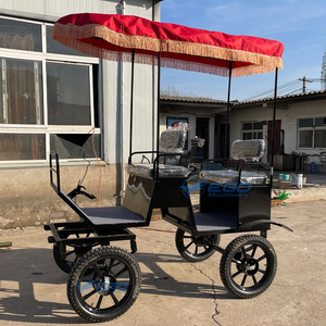 Nuevo Diseño 2025, Carroza Eléctrica de Estilo Moderno y Popular, Carroza Real de 4 Ruedas para Paseos Turísticos Victoria en Oferta - Product Image 6