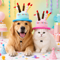 Chapeau d'anniversaire créatif pour animaux de compagnie, casquette en peluche en forme de gâteau, accessoire de costume pour chien et chat, accessoire photo pour fête d'anniversaire d'animaux de compagnie