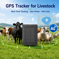 Rastreador GPS Beidou LBS 4G Celular Solar, Resistente al Agua IP67, Sin SIM, Mini Cápsula para Ovejas, Sistema de Rastreo Animal para Ganado
