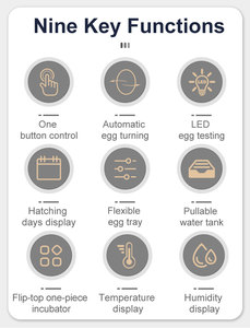 Incubadora automática completa Hhd, máquina para incubar 36 huevos, equipo de granja avícola de pollo con tanque de agua extraíble - Product Image 5