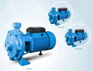 SCM2-60 Electric Water Pumps 1.5kw 2hp Pressure Pumping Machine Centrifugal Pump