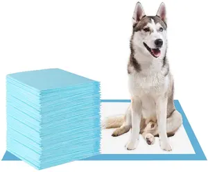 Disposable pet pee pad for urine training