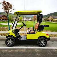 Voiturette de golf personnalisée 2 places pour club de campagne, aéroport, tourisme – Buggy de golf 2 places avec batterie au lithium sans entretien et longue autonomie