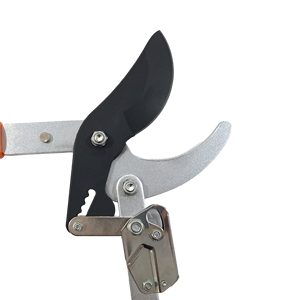 Hc-3110Rw <b>Long</b> <b>Handle</b> Ratchet Bypass Lopper Fruit Tree Pruning and Garden <b>Shears</b> - Product Image 4