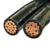 Cable Eléctrico Aislado en PVC de Cobre Sólido 3/0 THHN THWN NMD/90, 600V, para Uso Subterráneo, Precio de Fábrica