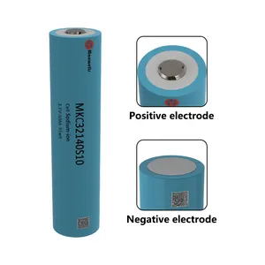 Hot Sale Ev Battery 4000 Cycles Sodium 3.1V 10Ah 10000Mah Na-Ion Battery 3.1V Cell From Maxwells