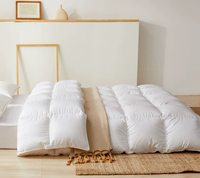 Couette de remplissage en plumes de canard d'oie blanche quatre saisons Premium OEM & ODM couette en duvet hôtel cinq étoiles noyau de plumes de canard