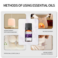 Huile Essentielle Végétale Pure pour Diffuseur d'Arômes d'Intérieur, Humidificateur et Huile Essentielle Aromathérapeutique Hydrosoluble pour Voiture