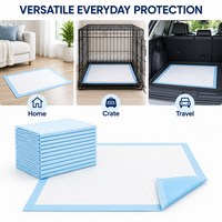 Vente en gros usine de draps absorbants jetables pour chiens, avec base anti-fuite à drainage rapide et noyau à forte absorption, pour la cage et l'entretien des sols