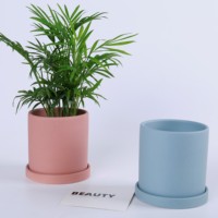 Vente en gros de pots de fleurs cylindriques modernes pour la décoration de la maison et du jardin, pots à succulentes, pots à fleurs mats avec soucoupe