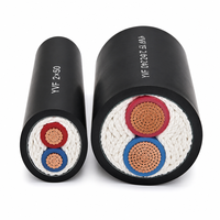 Câble YVF robuste 2 conducteurs 0,6/1 kV, bonne résistance à l'huile pour palans et engins mobiles 2*50mm²