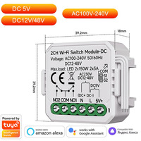 Modul Saklar Smart Dry Contact WiFi/Zigbee 2CH Smart Home DIY Breaker Relay DC 12-48V AC 100-240V Kompatibel dengan Alexa Google Home