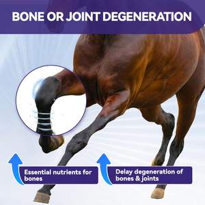 <strong>Horse</strong> Joint Supplement <strong>Glucosamine</strong> MSM Chondroitin Daily Equine Immune Support Easy-to-Feed Soft Chews 750g <strong>for</strong> Large - Product Image 3