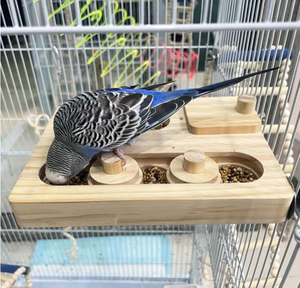ของเล่นไม้สำหรับฝึกอาหารนกแก้ว - Product Image 5