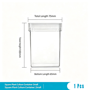 Boîte de culture cellulaire carrée autoclavable en PC/PP avec couvercle ventilé, réutilisable, transparente, pour micropropagation en laboratoire, petite (75 mm) et grande (120 mm) - Product Image 6