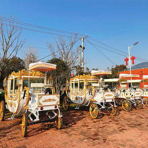 Chariot de mariage électrique à chevaux, calèche de tourisme européenne à chevaux, chariot de balnéo à chevaux - Product Image 5