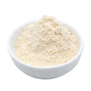 Food Grade Natural Stabilizer Citric Pectin Powder CAS No 9000-69-5