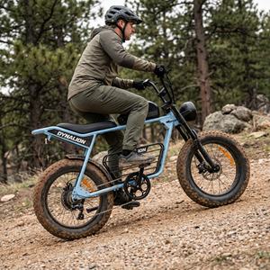 <span class=keywords><strong>Vélo</strong></span> <span class=keywords><strong>électrique</strong></span> haute performance 48V 16Ah avec pneus larges, <span class=keywords><strong>vélo</strong></span> <span class=keywords><strong>de</strong></span> montagne pour l'aventure en plein air - Product Image 5