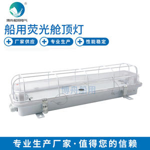 Lámpara de Techo Fluorescente LED JCY22-2EF para Cabina, Iluminación Marina, Categoría de Producto: Luces para Gabinetes - Product Image 4