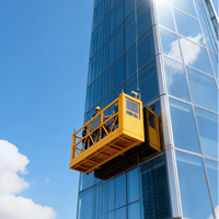 Plateforme suspendue de nettoyage de bâtiments de type élévateur, panier suspendu de construction, machine de levage, poste de travail suspendu