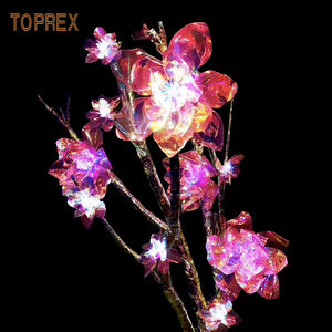 Pour les lumières de fête suspendues à LED de couleur de <span class=keywords><strong>rêve</strong></span> Toprex IP65 évalué pour les événements de Noël en plein air - Product Image 5