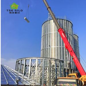 Sojabonen Rijst Sorghum Graan Opslag Silo Met Vrachtwagen Laden Silo Systeem - Product Image 6