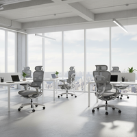 Silla de Oficina Ergonómica de Malla Patentada Premium, OEM ODM, Venta al por Mayor, Asiento para Computadora, para Muebles de Oficina, para Estar Sentado por Tiempo Prolongado