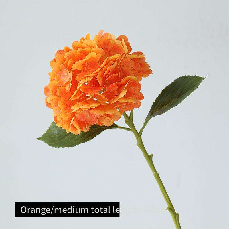 Orange Medium